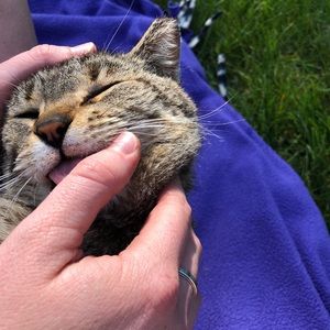 Meet your Posher, Riley